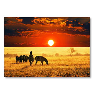 Günbatımı Savana'da Zebralar  Mdf Ahşap Tablo 35x50 cm