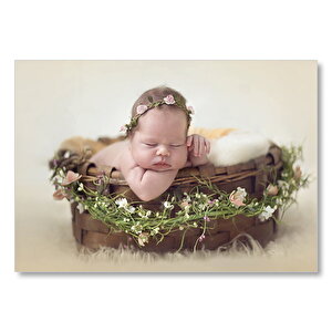 Sepet İçinde Uyuyan Bebek  Mdf Ahşap Tablo 35x50 cm