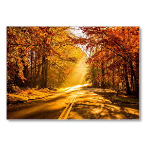 Sonbahar Ormandan Geçen Yol Ve Güneş Işınları  Mdf Ahşap Tablo 50x70 cm