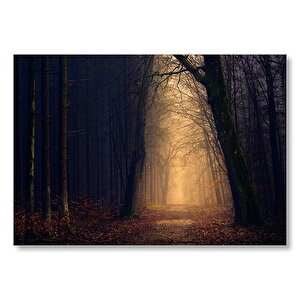 Sonbahar Loş Orman Yolu  Mdf Ahşap Tablo 50x70 cm