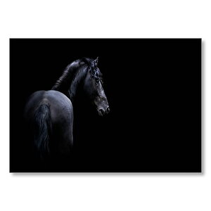 Siyah Zemin Siyah At  Mdf Ahşap Tablo 50x70 cm