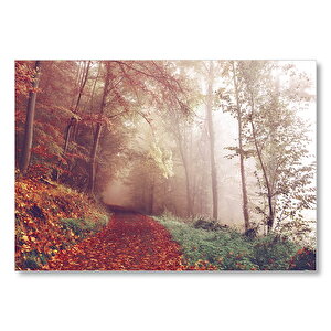 Sonbaharda Orman Patikası  Mdf Ahşap Tablo 25x35 cm