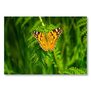 Yeşil Yapraklar Üzerinde Sarı Kahverengi Kelebek  Mdf Ahşap Tablo 50x70 cm