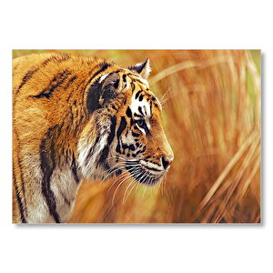 Çayırlar Arasında Kamufle Kaplan  Mdf Ahşap Tablo 35x50 cm