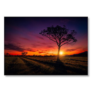 Günbatımı Çayırlar Ve Yalnız Ağaç  Mdf Ahşap Tablo 25x35 cm