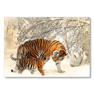Karlı Ormanda Kaplan Ve Yavrusu  Mdf Ahşap Tablo 25x35 cm