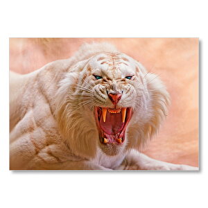Beyaz Kaplan Kükrüyor  Mdf Ahşap Tablo 50x70 cm