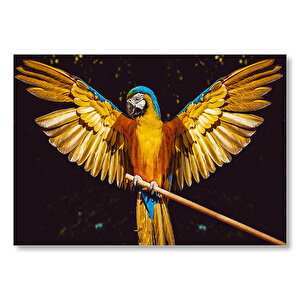 Sarı Tüylü Papağan  Mdf Ahşap Tablo 35x50 cm