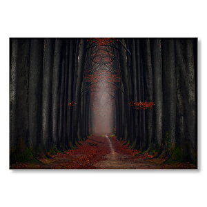 Sonbaharda Orman Patikası Ve Yapraklar  Mdf Ahşap Tablo 35x50 cm