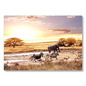 Savanada Filler Zebralar Ve Antiloplar  Mdf Ahşap Tablo 35x50 cm