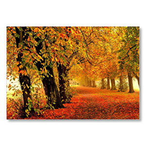 Sonbahar Orman Yolu Ve Yapraklar  Mdf Ahşap Tablo 35x50 cm