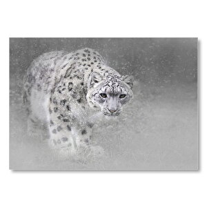 Beyaz Kar Leoparı  Mdf Ahşap Tablo 50x70 cm
