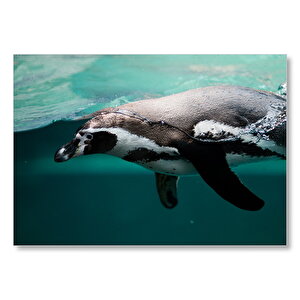 Yüzen Penguen Sualtı  Mdf Ahşap Tablo 25x35 cm
