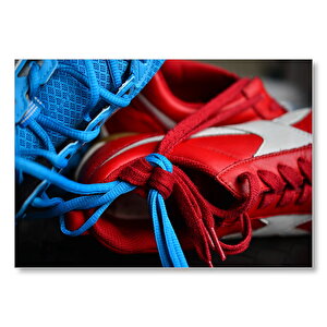 Kırmızı Ve Mavi Spor Ayakkabılar  Mdf Ahşap Tablo 50x70 cm