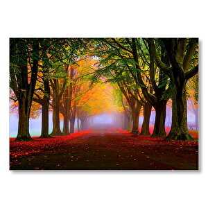 Sonbahar Sisler Ormanı Ve Yapraklar  Mdf Ahşap Tablo 50x70 cm