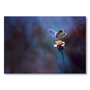 Sarı Çiçek Ve Mor Kelebek  Mdf Ahşap Tablo 50x70 cm