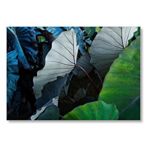 Renkli Dev Yapraklar  Mdf Ahşap Tablo 50x70 cm