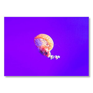 Mavi Zeminde Turuncu Denizanası  Mdf Ahşap Tablo 50x70 cm