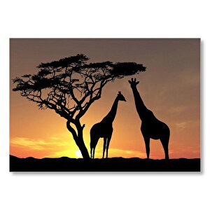 Afrikada Gün Batımında Zurafa Ve Yavrusu  Mdf Ahşap Tablo 50x70 cm