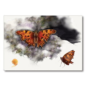 Polygonia Faunus Kelebeği Görseli Mdf Ahşap Tablo 25x35 cm