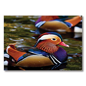 Mandarin Ördeği Mdf Ahşap Tablo 35x50 cm