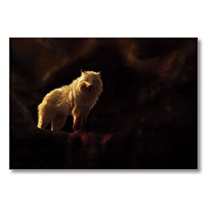 Kutup Kurdu Avlanıyor Mdf Ahşap Tablo 50x70 cm