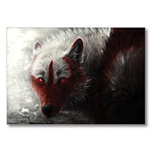 Kızıl Beyaz Kurt Görseli Mdf Ahşap Tablo 50x70 cm