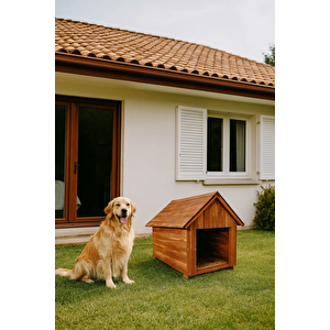 Ahşap Köpek Kulübesi Orta Boy Irklar