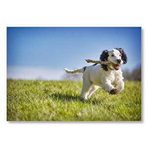 Çayırda Oyun Oynayan Sevimli Köpek Mdf Ahşap Tablo 25x35 cm