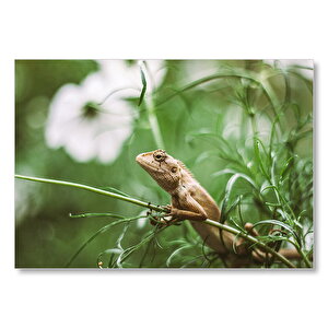 Yeşil Dallar Arasındaki İguana Flu Arka Plan Mdf Ahşap Tablo 50x70 cm
