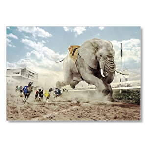 Köpek Yarışına Katılan Fil İllüstrasyon Mdf Ahşap Tablo 25x35 cm