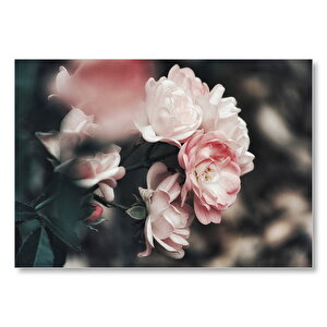 Pembe Güller Flu Arkaplan Mdf Ahşap Tablo 35x50 cm