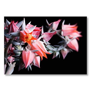 Kırmızı Bardak Çiçekleri Karanlık Arka Plan Mdf Ahşap Tablo 50x70 cm
