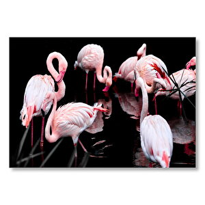 Flamigolar Karanlık Göl Arka Plan Mdf Ahşap Tablo 25x35 cm