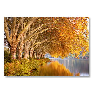 Sonbahar Rengi Ağaçlar Ve Durgun Göl Mdf Ahşap Tablo 50x70 cm