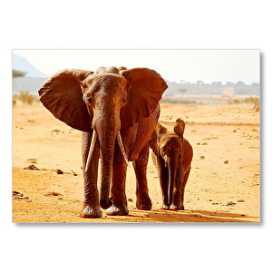 Afrika Savanada Anne Fil Ve Yavrusu Mdf Ahşap Tablo 50x70 cm