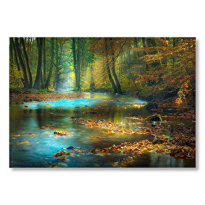 Orman İçindeki Nehir Ve Suda Sonbahar Yaprakları Mdf Ahşap Tablo 50x70 cm