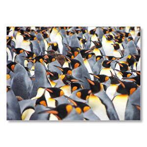 İmpataror Penguenleri Bir Arada Mdf Ahşap Tablo 25x35 cm