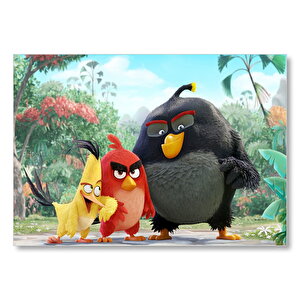 Angry Birds Çizgi Film Mdf Ahşap Tablo 35x50 cm