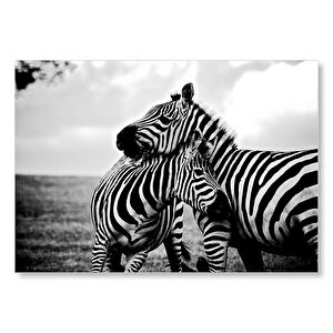 Anne Zebra Ve Yavrusu Siyah Beyaz Mdf Ahşap Tablo 25x35 cm
