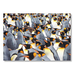 İmpataror Penguenleri Bir Arada Mdf Ahşap Tablo 25x35 cm