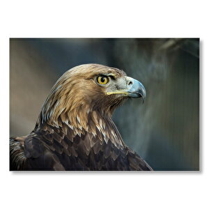 Keskin Bakışlı Kartal Yakın Profil Mdf Ahşap Tablo 50x70 cm