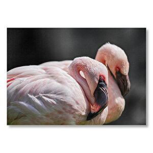 Uyuklayan Bir Çift Flamingo Mdf Ahşap Tablo 35x50 cm