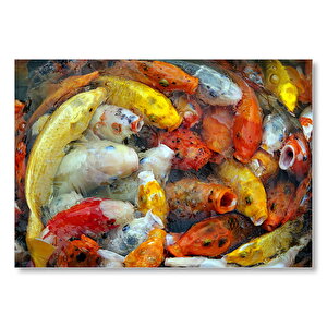 Beslenmek İçin Bekleyen Koi Balıkları Mdf Ahşap Tablo 35x50 cm