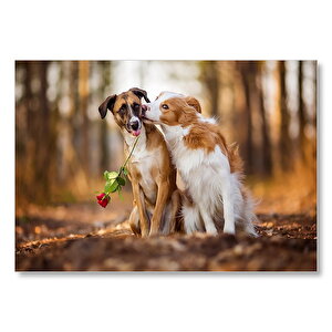 Kahverengi Beyaz Aşık Köpekler Mdf Ahşap Tablo 25x35 cm