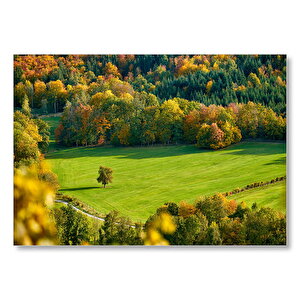 Ormanın Ortasındaki Yemyeşil Arazi Ve Yalnız Ağaç Mdf Ahşap Tablo 25x35 cm