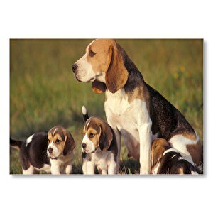Anne Beagle Ve Sevimli Yavruları Mdf Ahşap Tablo 25x35 cm
