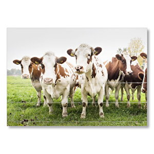 Çayırda Tel Örgünün Kenarında İnekler Mdf Ahşap Tablo 25x35 cm