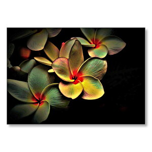 Bitkinin Dev Yaprakları Karanlık Arka Plan Mdf Ahşap Tablo 35x50 cm