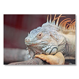 Dal Üzerinde Dinlenen Dev Kertenkele Mdf Ahşap Tablo 35x50 cm